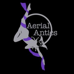 Add Aerial Antics Logo